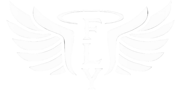 FLY MINISTRIES 